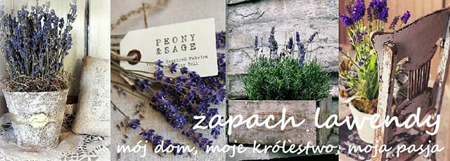 Zapach lawendy blog