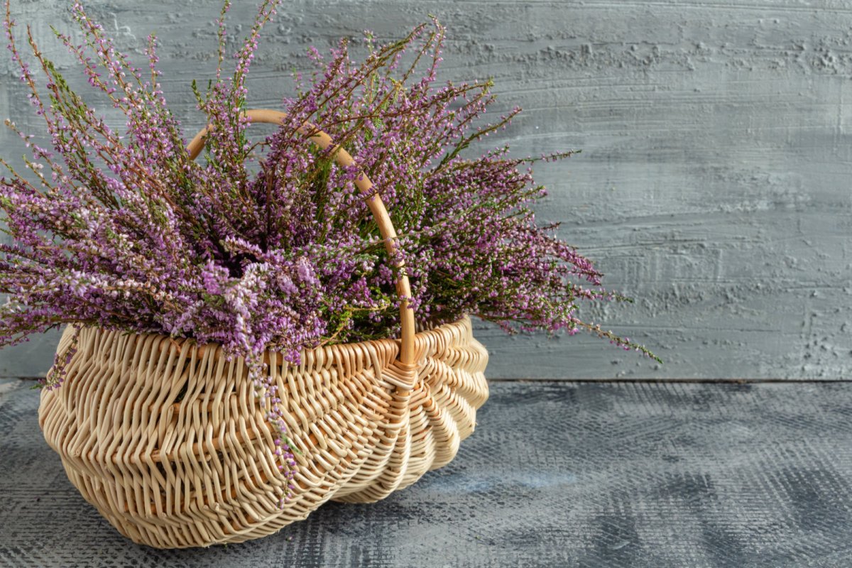 Dekoracja z wrzosów