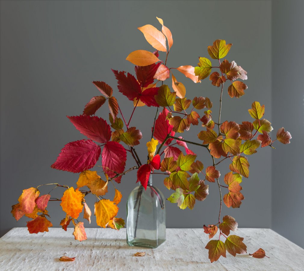 Prosty jesienny bukiet