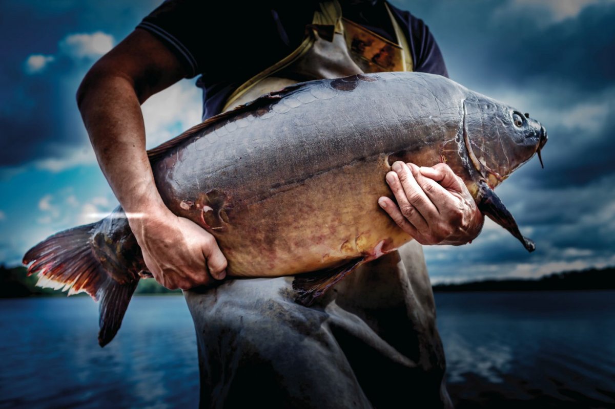 Wernisaż Wystawy fotografii RAFAŁ LIPSKI – WEWNĘTRZNE OBRAZY