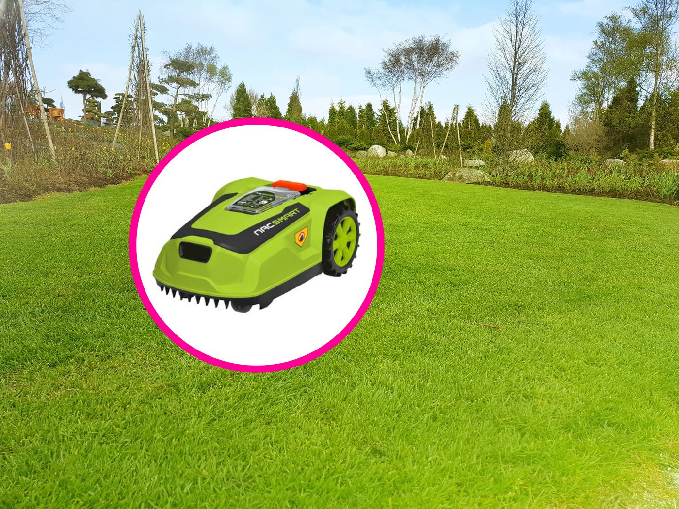 W Biedronka Home potężna wyprzedaż na wiosnę! Robot, który sam skosi trawnik i kultowy garnek Ninja 8w1 w cenach, które demolują konkurencję